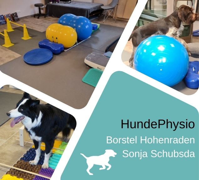 Hundephysiotherapie Hamburg, Bewegungstherapie